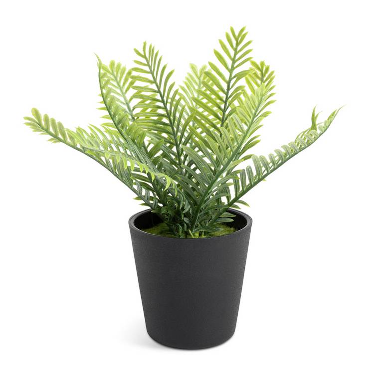 Habitat small fern artificial plant 18cm (British brand)