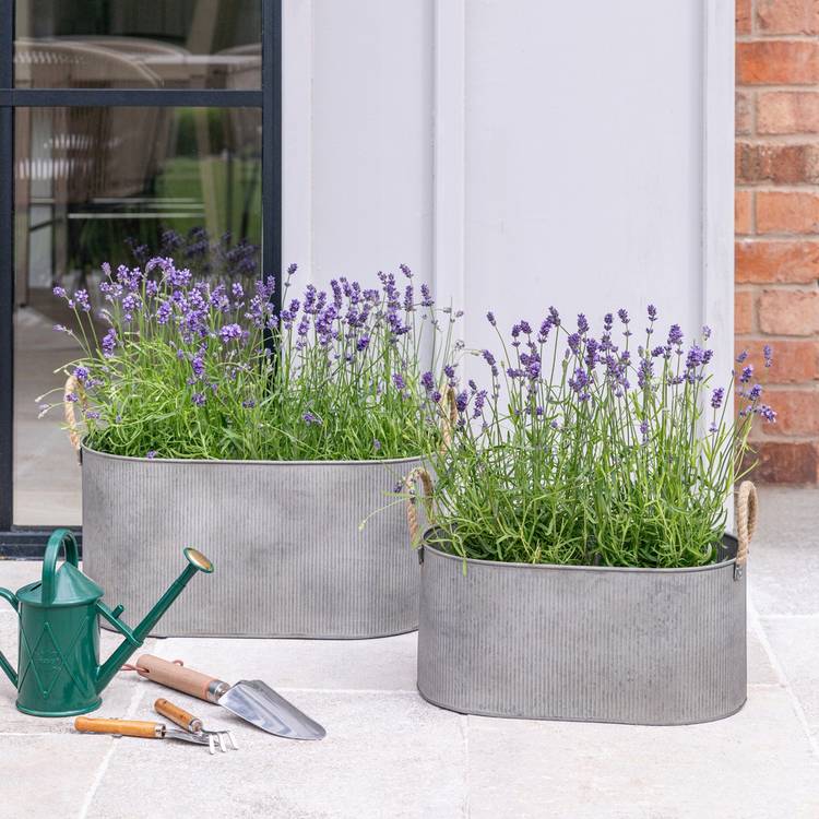 Ivyline Outdoor Galvanised Rope Handle Trough Set of 2 - British product