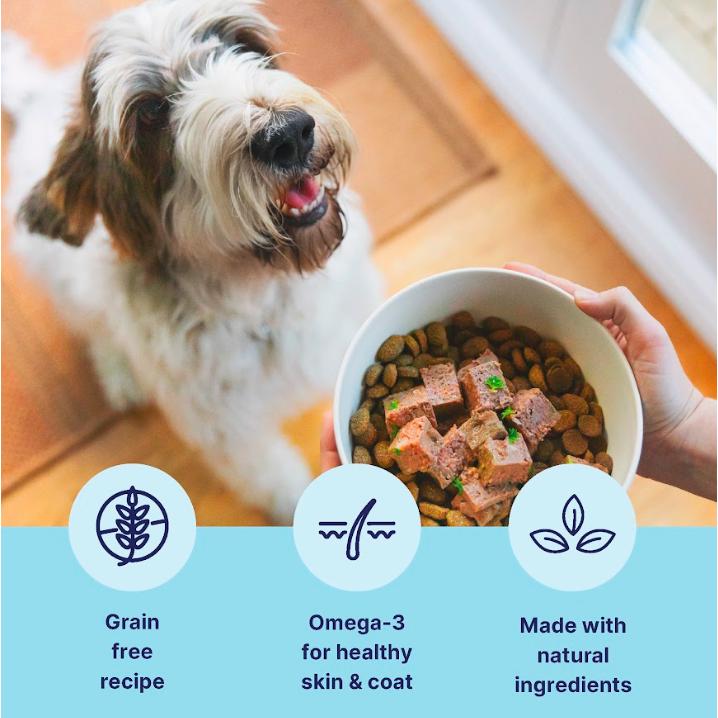 Tails.com Inner Vitality wet dog food chicken and cod 150g (British brand)