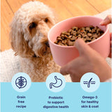 Tails.com Inner Vitality dry dog food salmon 2kg - British product