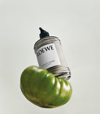LOEWE Tomato Leaves body lotion 360ml, UK version