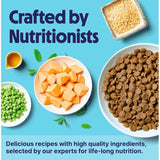 Tails.com Inner Vitality dry dog food salmon 2kg - British product
