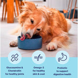 Tails.com Inner Vitality dry dog food chicken 2kg (British brand)
