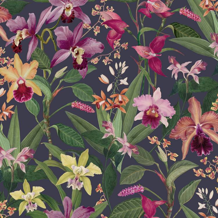RHS botanical wallpaper purple orchid roll, UK version