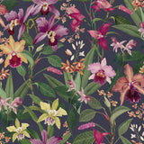 RHS botanical wallpaper purple orchid roll, UK version