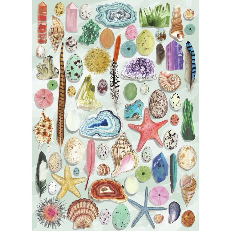 Gibsons jigsaw puzzle Natural Curiosities 1000 pieces, imported from the UK