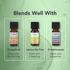 Tisserand Cypress Wild Crafted Pure Essential Oil 9ml (British brand)