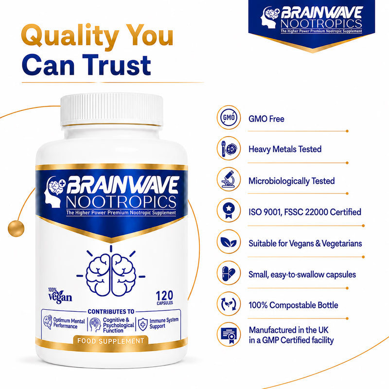 Brainwave Nootropics brain supplement complex 120 capsules (British brand)