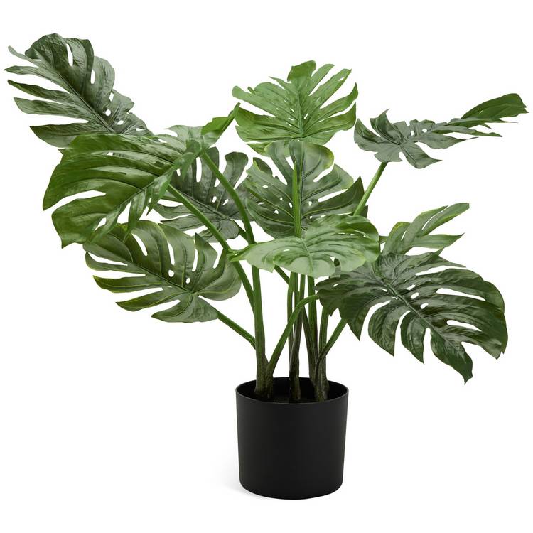 Habitat artificial Monstera plant 61cm (British brand)