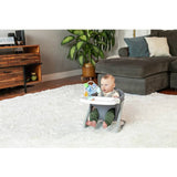 Infantino Stick And Spin Pal Racoon baby suction toy (British brand)