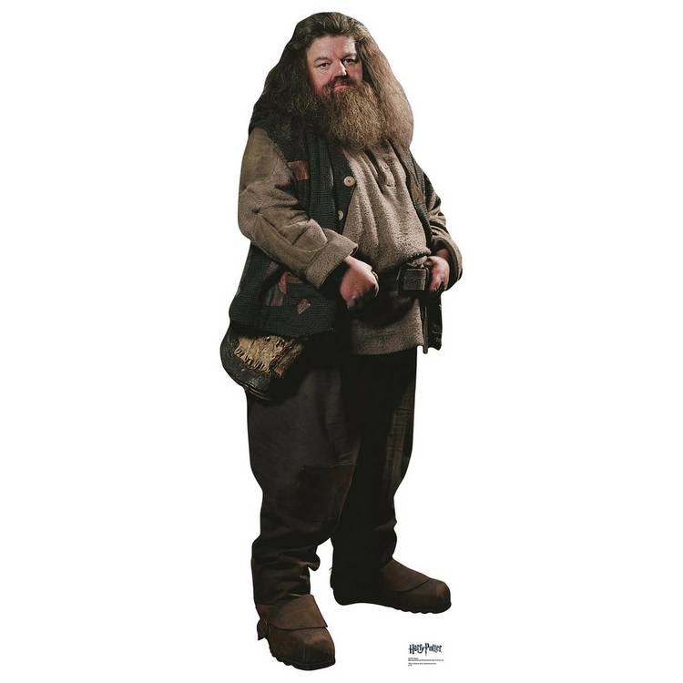 Star Cutouts Hagrid Cardboard Cutout