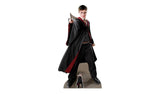 Star Cutouts Harry Potter Quidditch Cardboard Cutout GOODS Argos