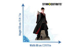 Star Cutouts Harry Potter Quidditch Cardboard Cutout GOODS Argos