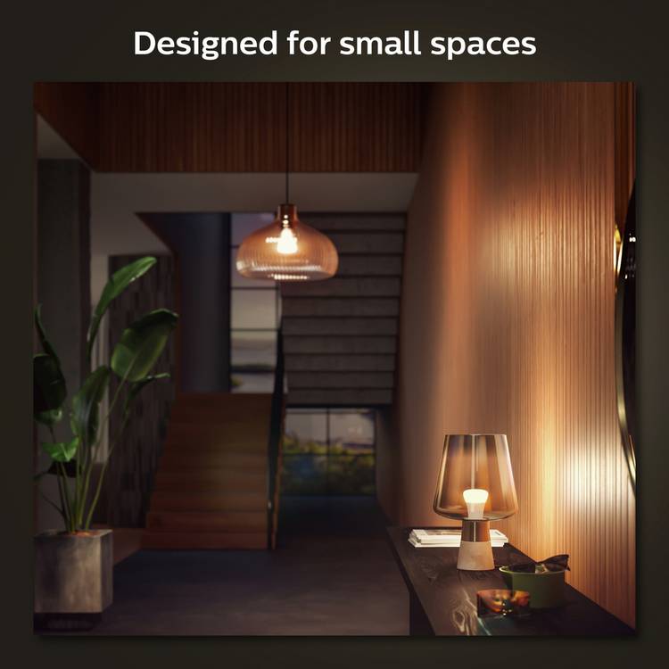 Philips Hue E27 white smart bulb pack of two, UK version