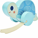 Chad Valley push along turtle with flipper sounds - British product