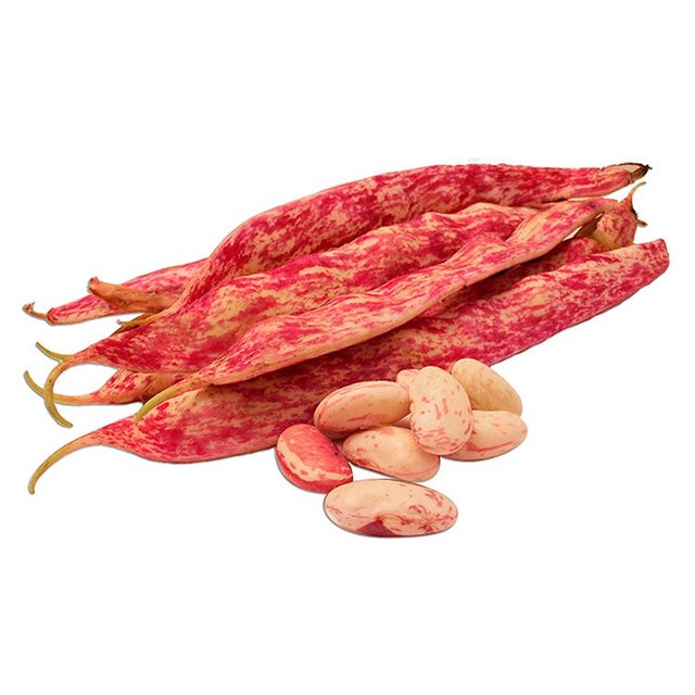 Natoora Italian Borlotti Beans   400g