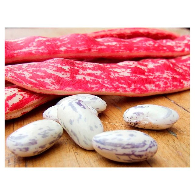 Natoora Italian Borlotti Beans   400g