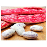 Natoora Italian Borlotti Beans   400g GOODS M&S   