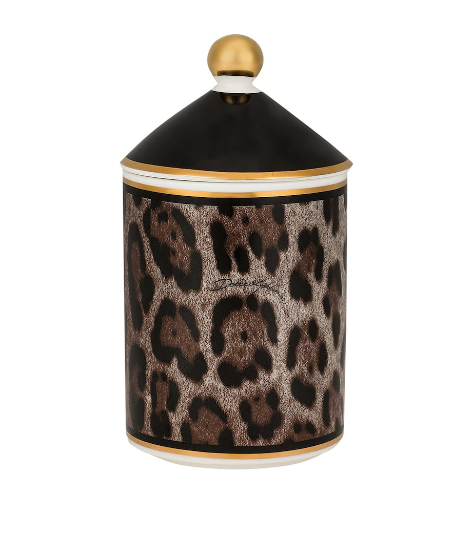 Dolce&Gabbana Casa Leopardo patchouli candle 340g - British product