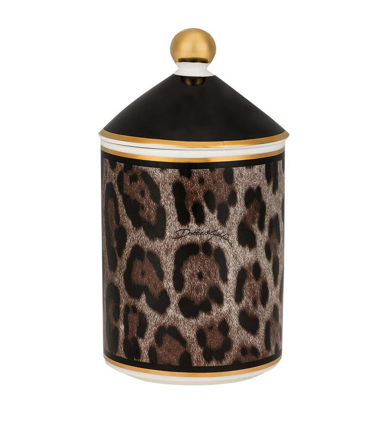 Dolce&Gabbana Casa Leopardo patchouli candle 340g - British product