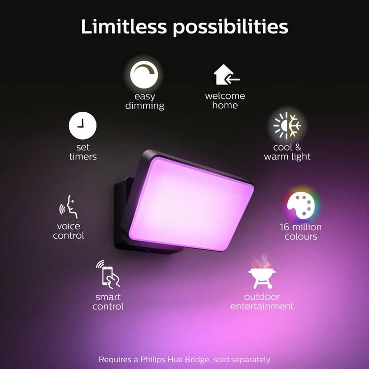 Philips Hue Floodlight black (British brand)