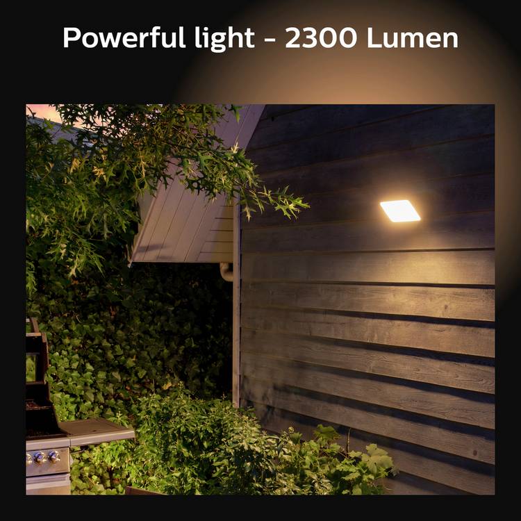 Philips Hue Floodlight black (British brand)