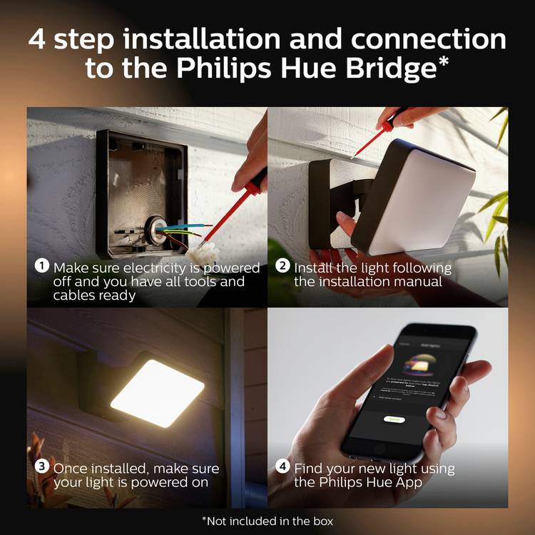Philips Hue Floodlight black (British brand)