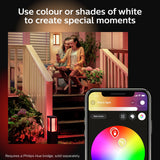 Philips Hue Econic outdoor wall light black, imported from the UK