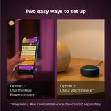 Philips Hue Iris smart table lamp black, imported from the UK