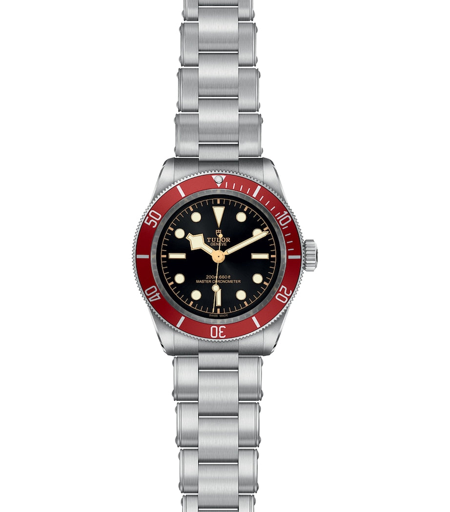 Tudor Black Bay 41mm stainless steel watch (British brand)