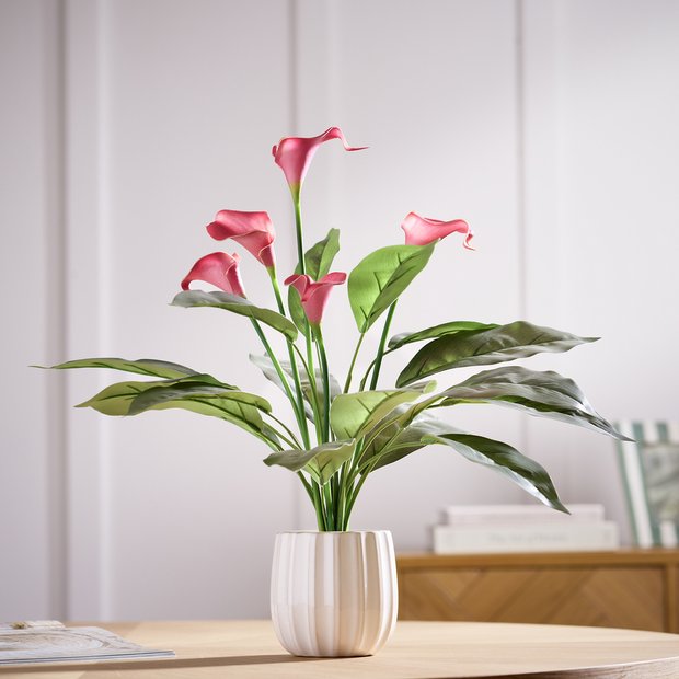 Argos Home artificial red calla lily in white ceramic pot 48cm - British product
