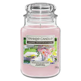 Yankee Candle Garden Party large scented candle (British brand)