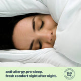 Silentnight Anti-Allergy duvet 13.5 Tog single (British brand)