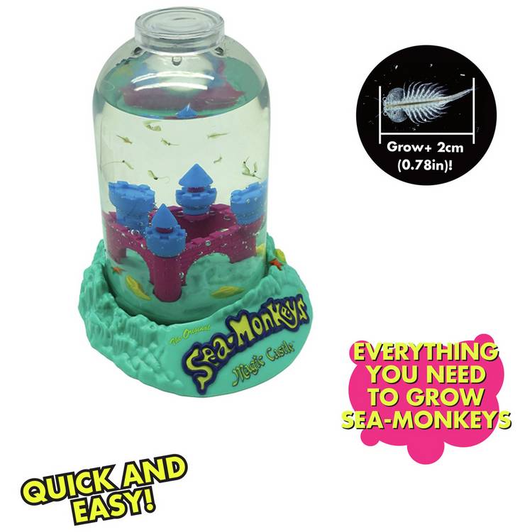 Dragon Toys Sea Monkeys Magic Castle kit - British product