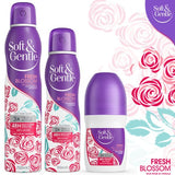 Soft & Gentle Aerosol  Fresh Blossom 250Ml GOODS Superdrug   