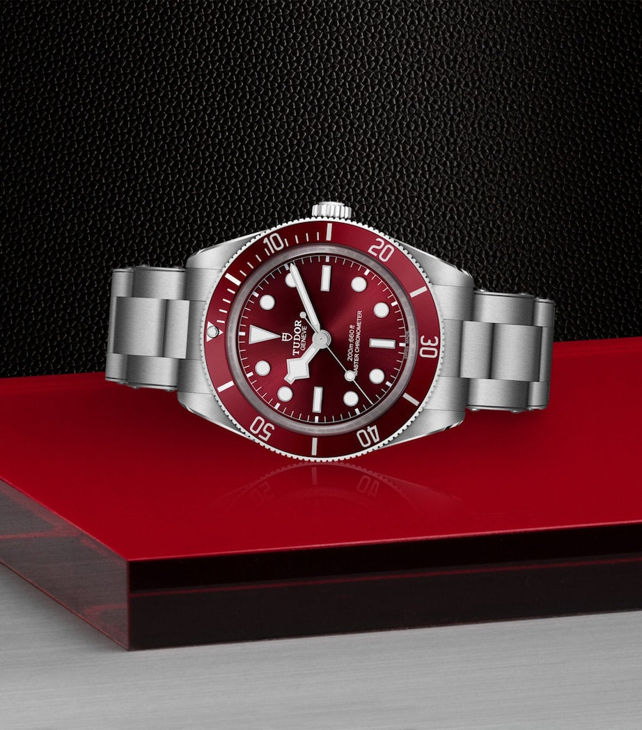TUDOR Black Bay 58 steel watch 39mm (British brand)