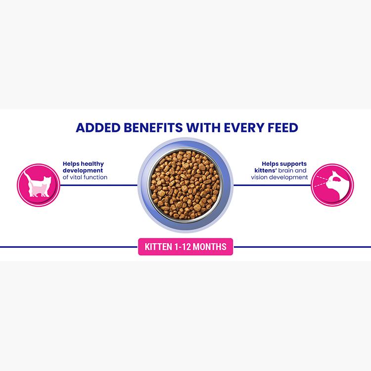 Purina One kitten dry cat food chicken wholegrain 750g - British product