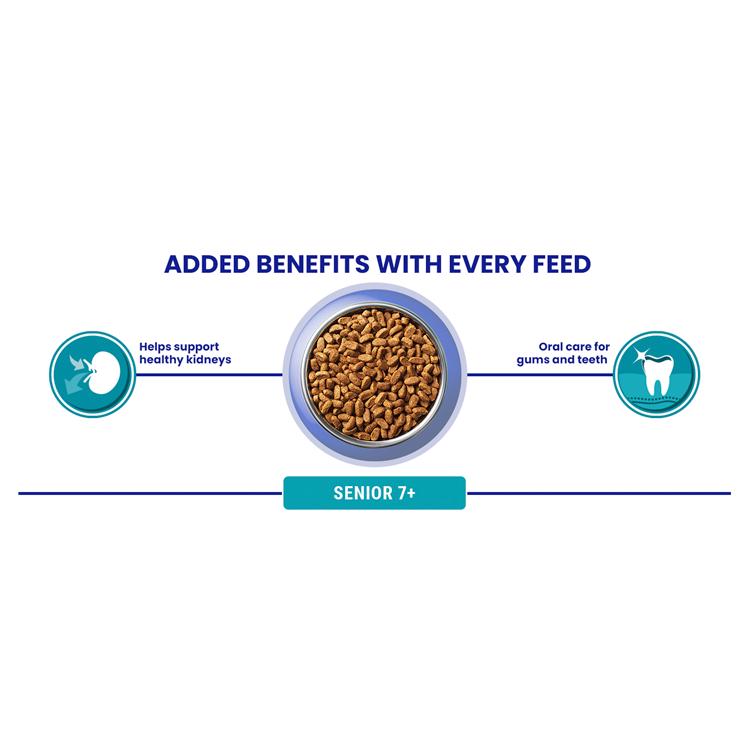 Purina ONE Senior 7+ chicken dry cat food 750g bag (British brand)