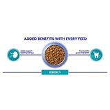 Purina ONE Senior 7+ chicken dry cat food 750g bag (British brand)