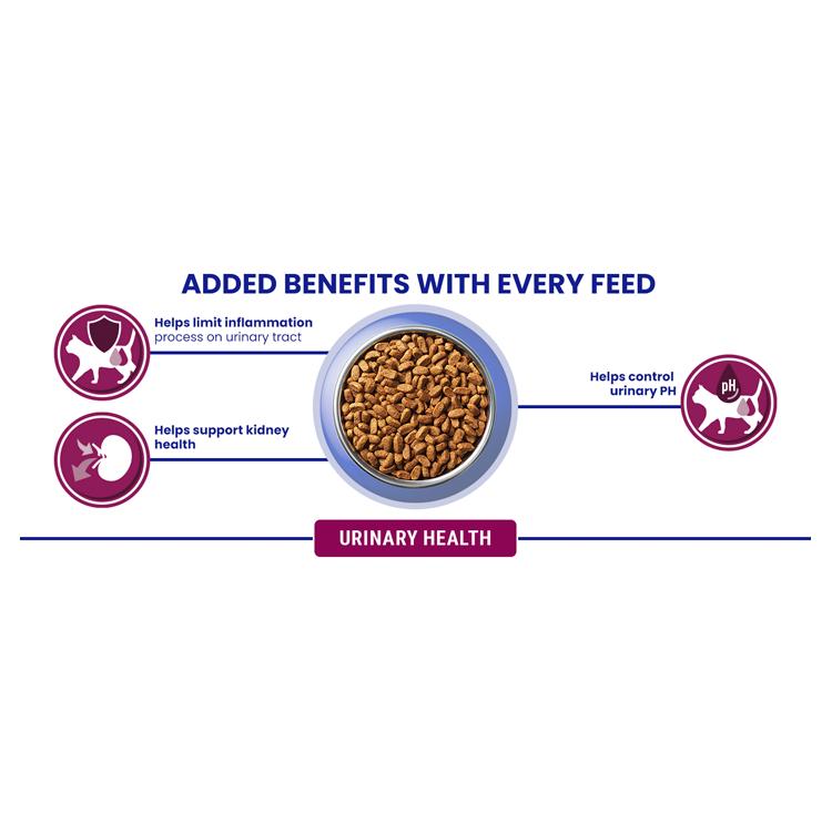 Purina dry cat food Urinary Health Chicken 750g - British product