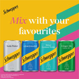 Schweppes Canada Dry ginger ale 12x150ml, UK version
