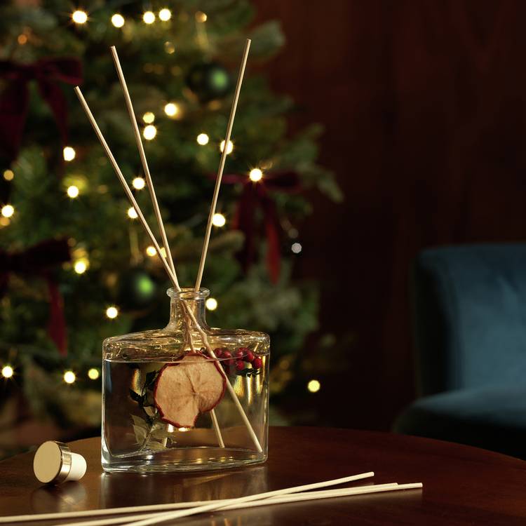 Argos Home Botanic 120ml Reed Diffuser - Christmas Spice