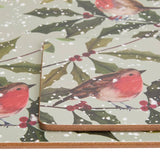 Argos Home robin themed placemats and coasters set - British product