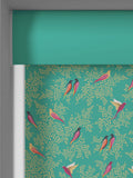 Sara Miller Green Birds roller blinds UK version