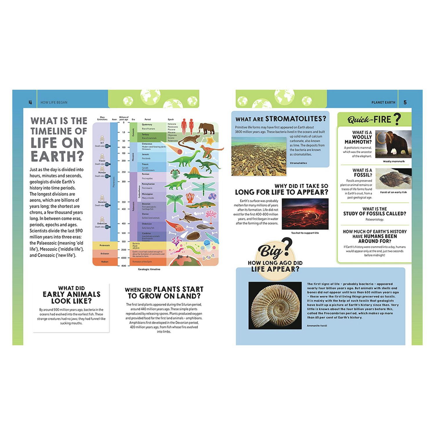 Igloo Books Questions and Answers book pack, UK version
