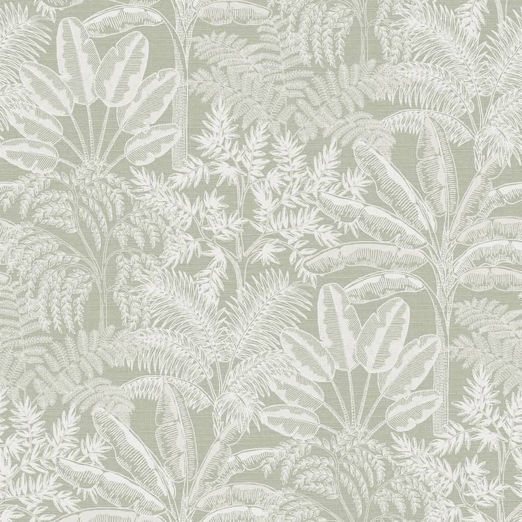 Superfresco Easy Intrigue sage green wallpaper (British brand)