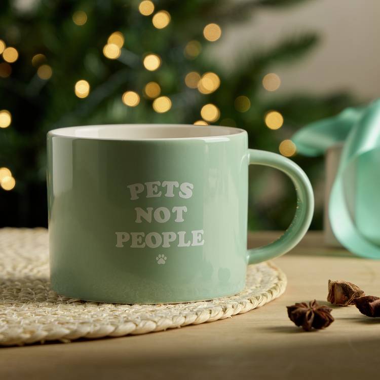 Argos Home Pets Not People mug sage green 380ml - British product