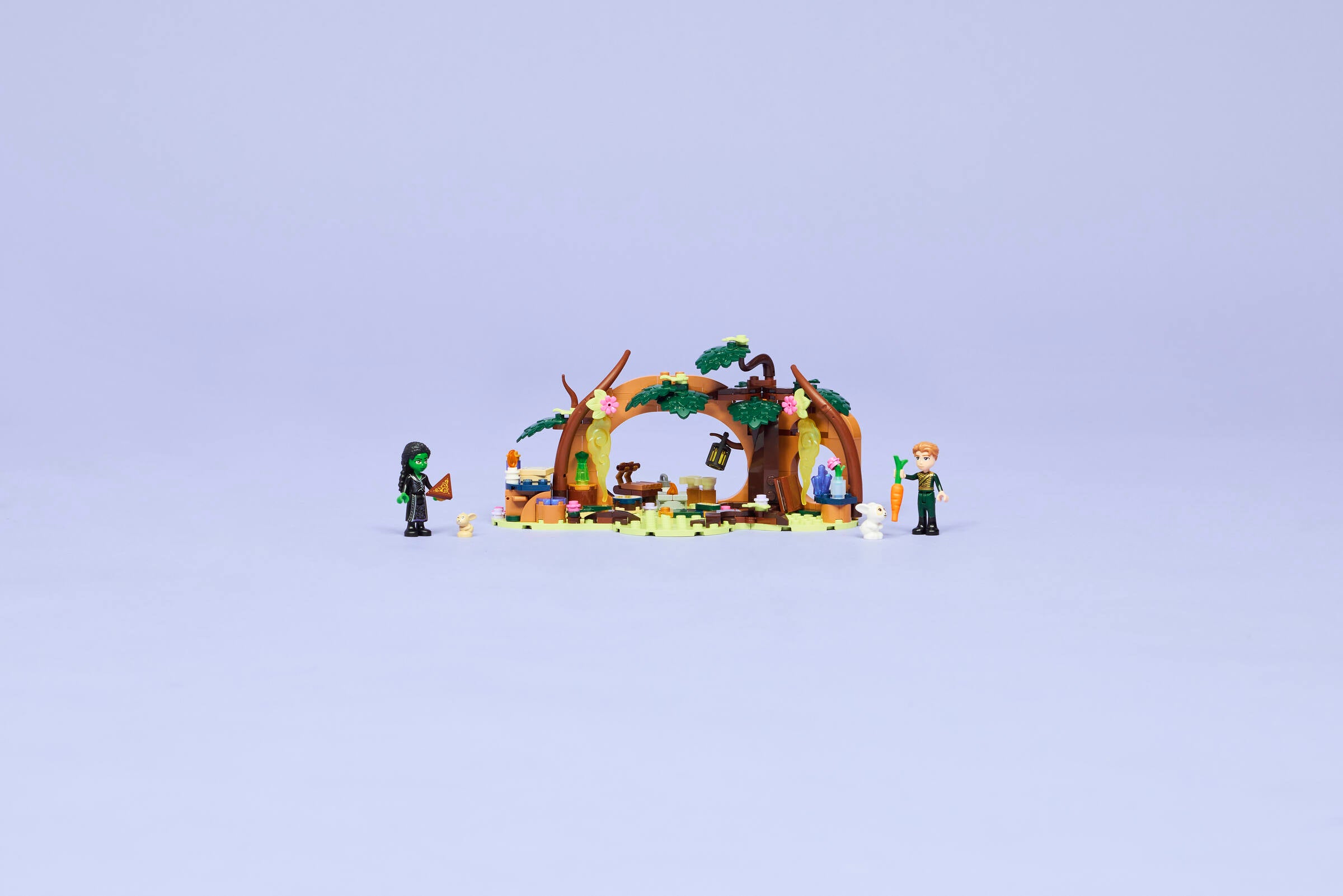 LEGO Elphaba's Retreat Wicked building set 228 pieces - British product