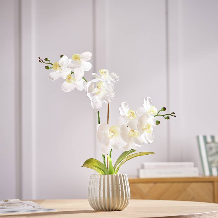 Argos Home artificial white orchid in cream ceramic pot 53cm tall, imported from the UK