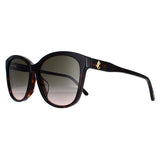 Jimmy Choo Lidie braune Damen-Sonnenbrille – britisches Produkt